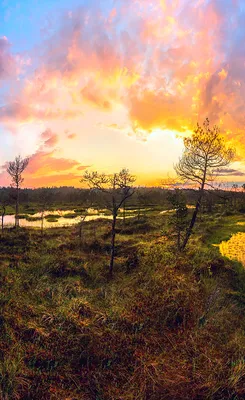 Фоны Пейзажей: Роскошные виды природы в формате 4K.