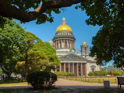 Загадочные парки и сады: взгляд на природу города на фото