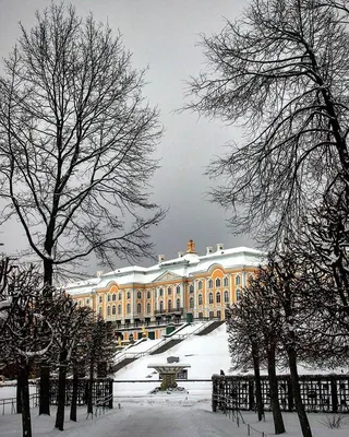 Петербургские аллеи: фотоизображения уединенных прогулочных мест