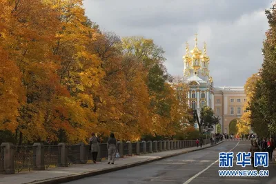 Рисунки природы Спб в высоком разрешении