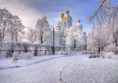 Фотография заката над Невой в Санкт-Петербурге