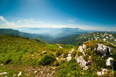 Лучшие фотографии природы: Арт-обои на рабочий стол