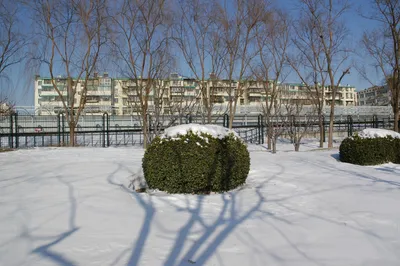 Зимний Пекин в кадре: Свежие фотографии в разных размерах и форматах.