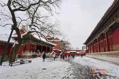 Ледяные пейзажи Пекина: Фото в различных форматах для скачивания!