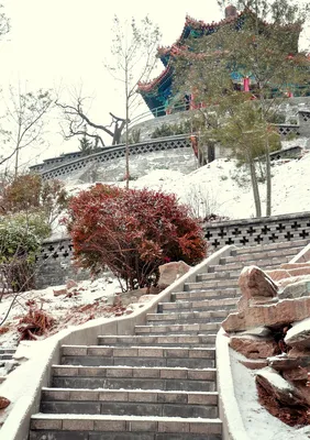 Зимние краски Пекина в каждом пикселе: Фото в JPG, PNG, WebP.