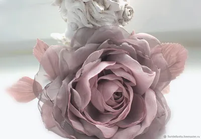 Пепел розы цвет - фото высокого разрешения в формате jpg