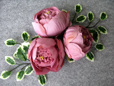 Фотография розы Пепел - выберите размер и формат для скачивания