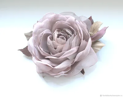 Изображение розы Пепел - доступно в png формате