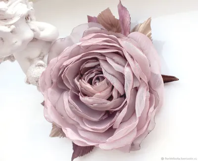 Изображение пепла розы цвет - доступен для загрузки в webp формате