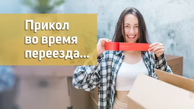 Смешные картинки для переезда: выбери изображение в формате, который тебе нравится