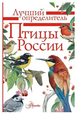 Фото перелетных птиц Урала: снимки в природной среде