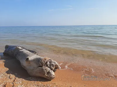 Пляж Пересыпь: Уникальные снимки для скачивания