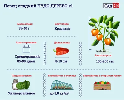 Перец чудо дерево в объективе: ожившая сказка природы