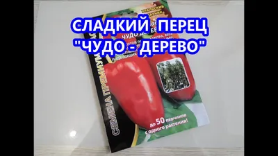 Фото перца чудо дерево 2024 года: узнайте, что приготовила будущность