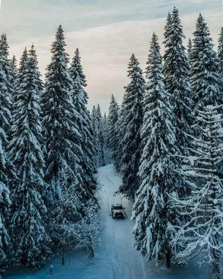 44 Зимних момента в Перми на картинках