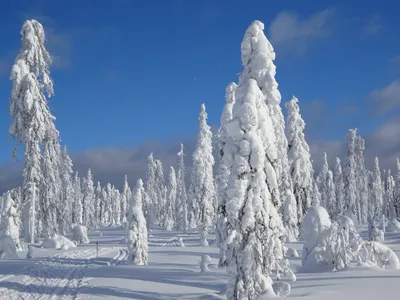 Зимние краски Перми: Фотографии с насыщенными оттенками