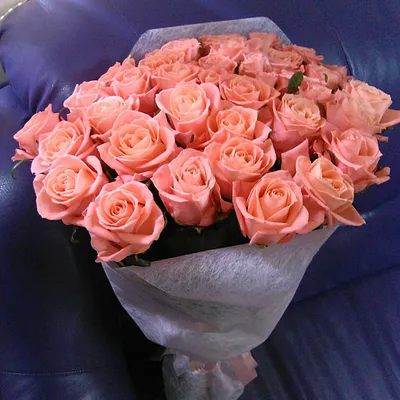 Фотографии тендерных персиковых роз для любителей романтики
