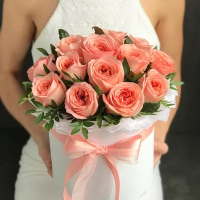 Фотка персиковых роз в высоком качестве