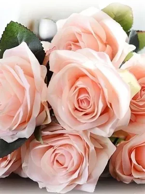 Фото букета из нежных персиковых роз