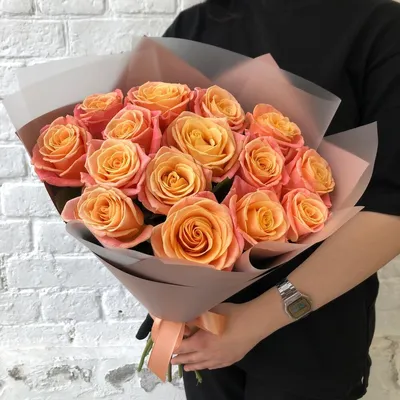 Фотоархив с эстетическими персиковыми розами