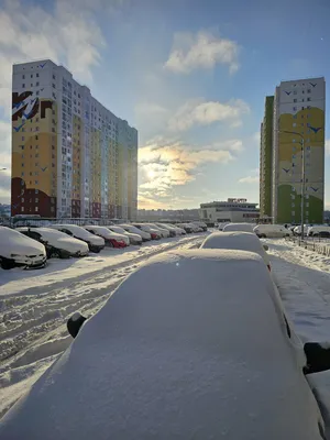 Отражение новогоднего утра в фотографиях