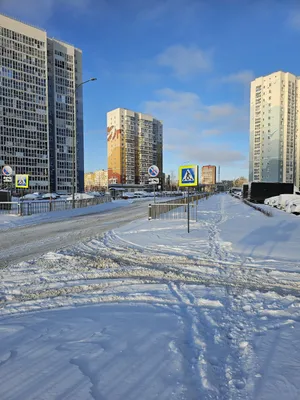 Новогодние мгновения на рассвете