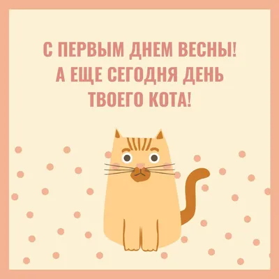 Новые прикольные фото первого дня весны