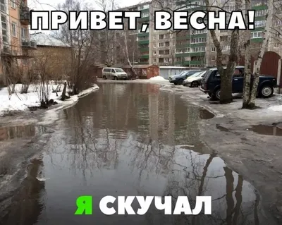 Фотографии весеннего дня, чтобы насладиться теплом и свежестью