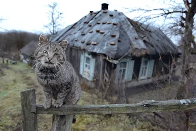 Красивые изображения весны