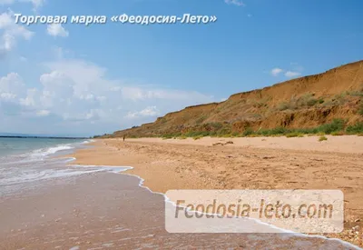 Приключения на Песчаном пляже: фотоальбом