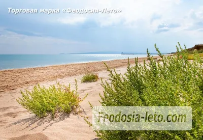 HD фотографии песчаного пляжа 2024 года