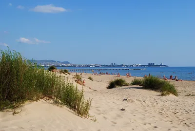 Картинка песчаных пляжей Адлера