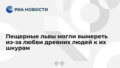 Роскошные фото пещерных львов с возможностью выбора размера и формата