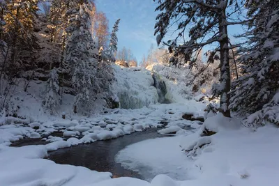 Великолепный природный памятник Алтайского края на фото