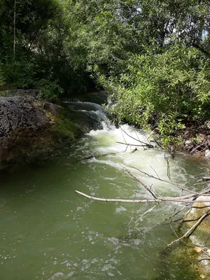 Картинка Пещерского водопада в Алтайском крае