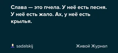 Фото пчелы, демонстрирующее ее уникальную анатомию