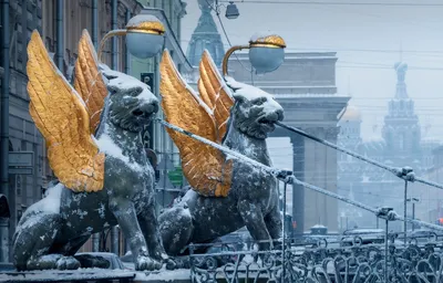 Фотографии Петербург зимой: скачайте изображение в нужном формате
