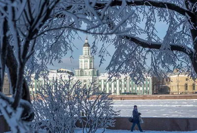 Исследуйте зимний Петербург через объектив: скачайте фотографию