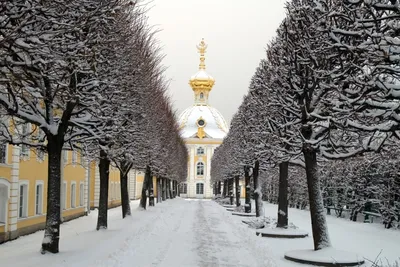 Зимний великолепный Петергоф: Фото в высоком разрешении