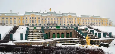 Петергоф зимой: Увлекательные изображения для скачивания