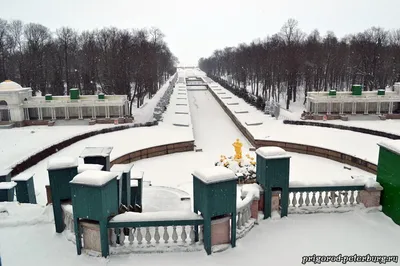 Фотогалерея Петергофа зимой: Разнообразие форматов для скачивания