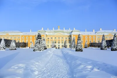 Зимний Петергоф: Погружение в атмосферу снежной сказки