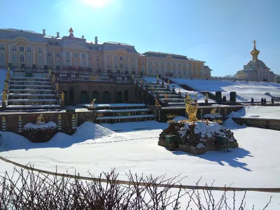Зимнее великолепие Петергофа: Уникальные фотографии для скачивания