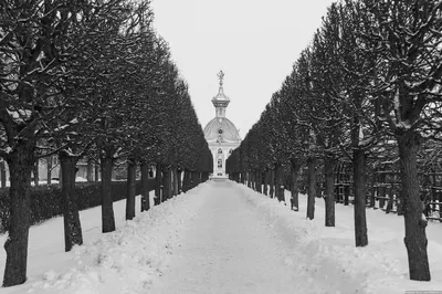 Петергоф зимой: Увлекательные картинки для любителей фото