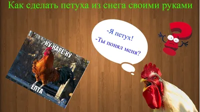 Петух в снегу: изображения для скачивания в PNG, JPG, WebP.