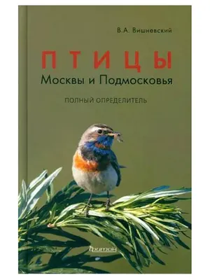 Певчие птицы подмосковья в объективе фотокамеры: выберите размер