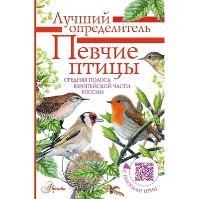 Изящество и грация: Певчие птицы России на фото