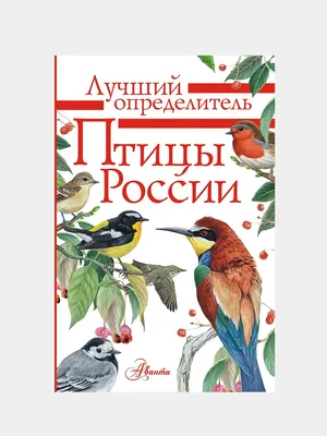 Запись природы: Фото певчих птиц России в различных форматах