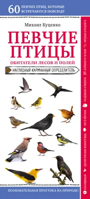 Фотоальбом Певчие птицы России: Увлекательное путешествие в птичий мир