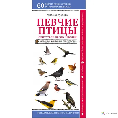 Изображения певчих птиц Украины: обои для рабочего стола в формате jpg